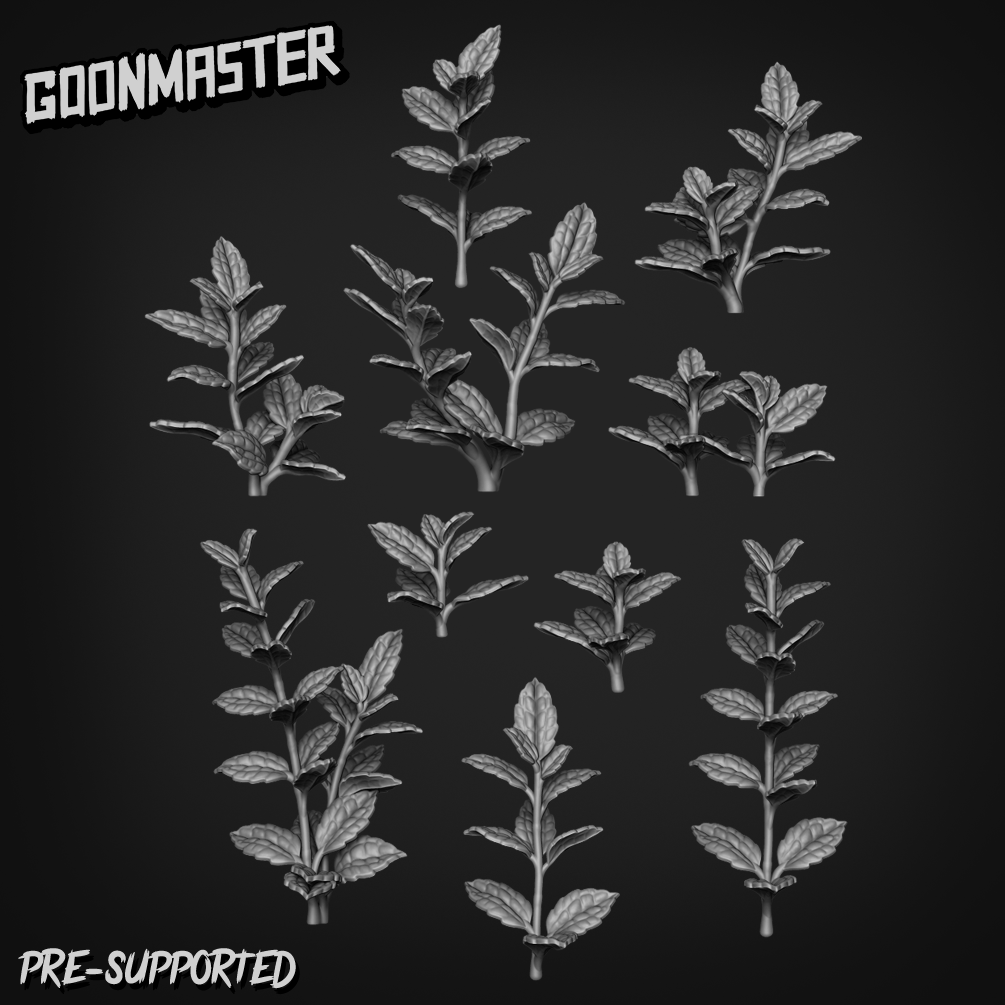 Basing Bits 199 - Pilea Cadierei